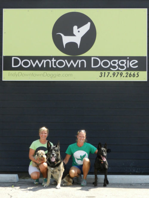 About Indy Downtown Doggie